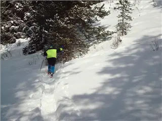 small_Breck2008 014.webp